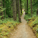 Image for article titled Study Finds Going Outside for 20 Minutes a Day Will Help Your Skyrocketing Stress Levels